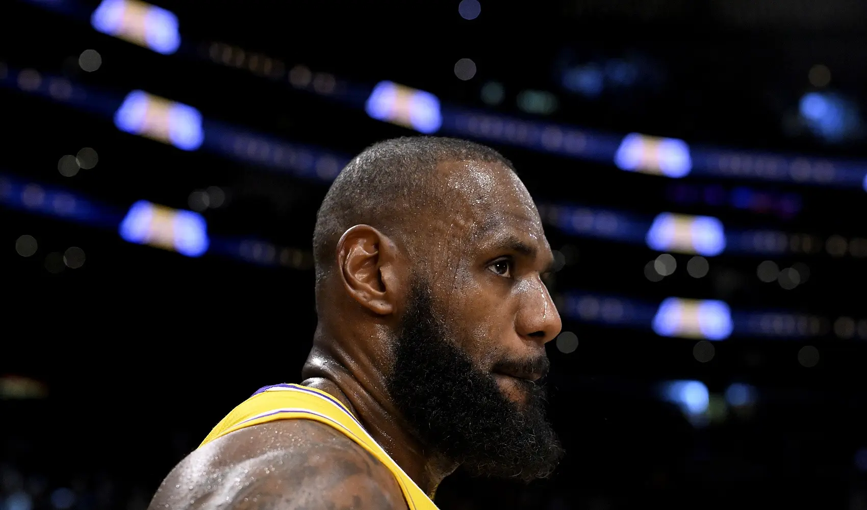 entit, 中调解吗, 现在有人会 entit, 中调解吗, 现在有人会