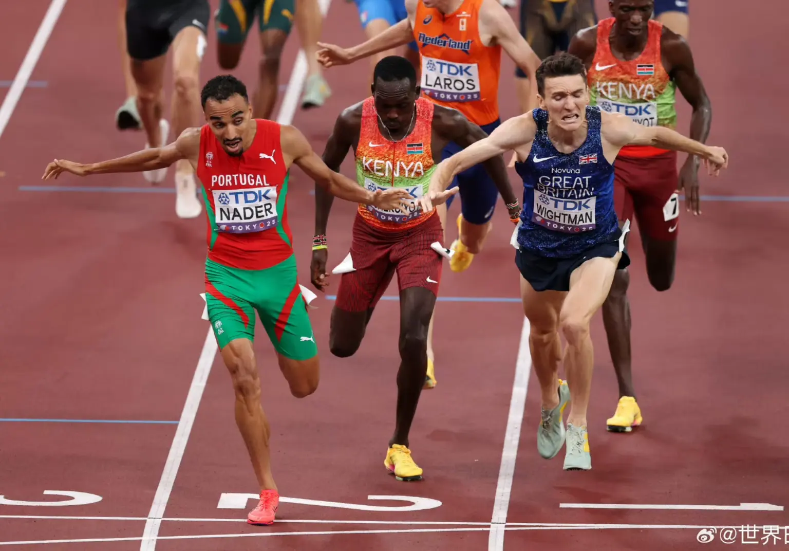 已经是八年 已经是八年