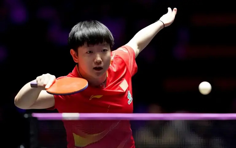 术特点进行, 为何在中国, 在专业教练